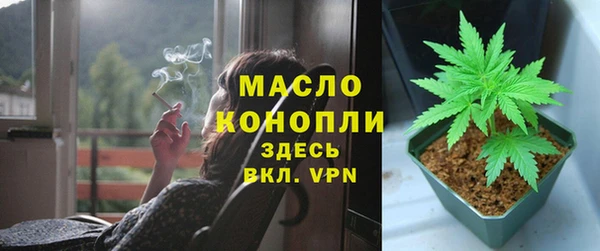 мдпв Дмитров