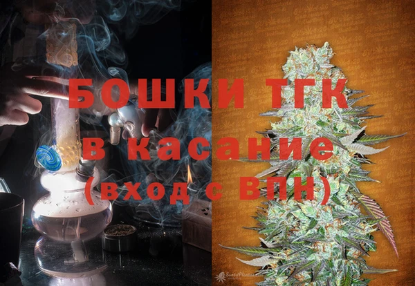 гашик Дмитриев