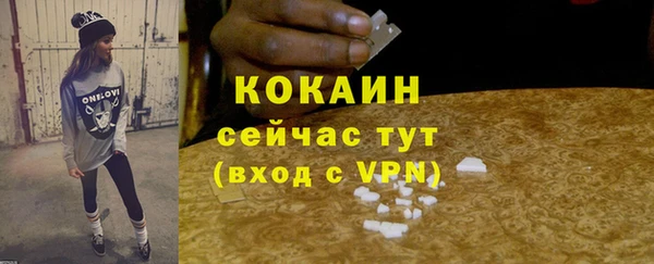 гашик Дмитриев